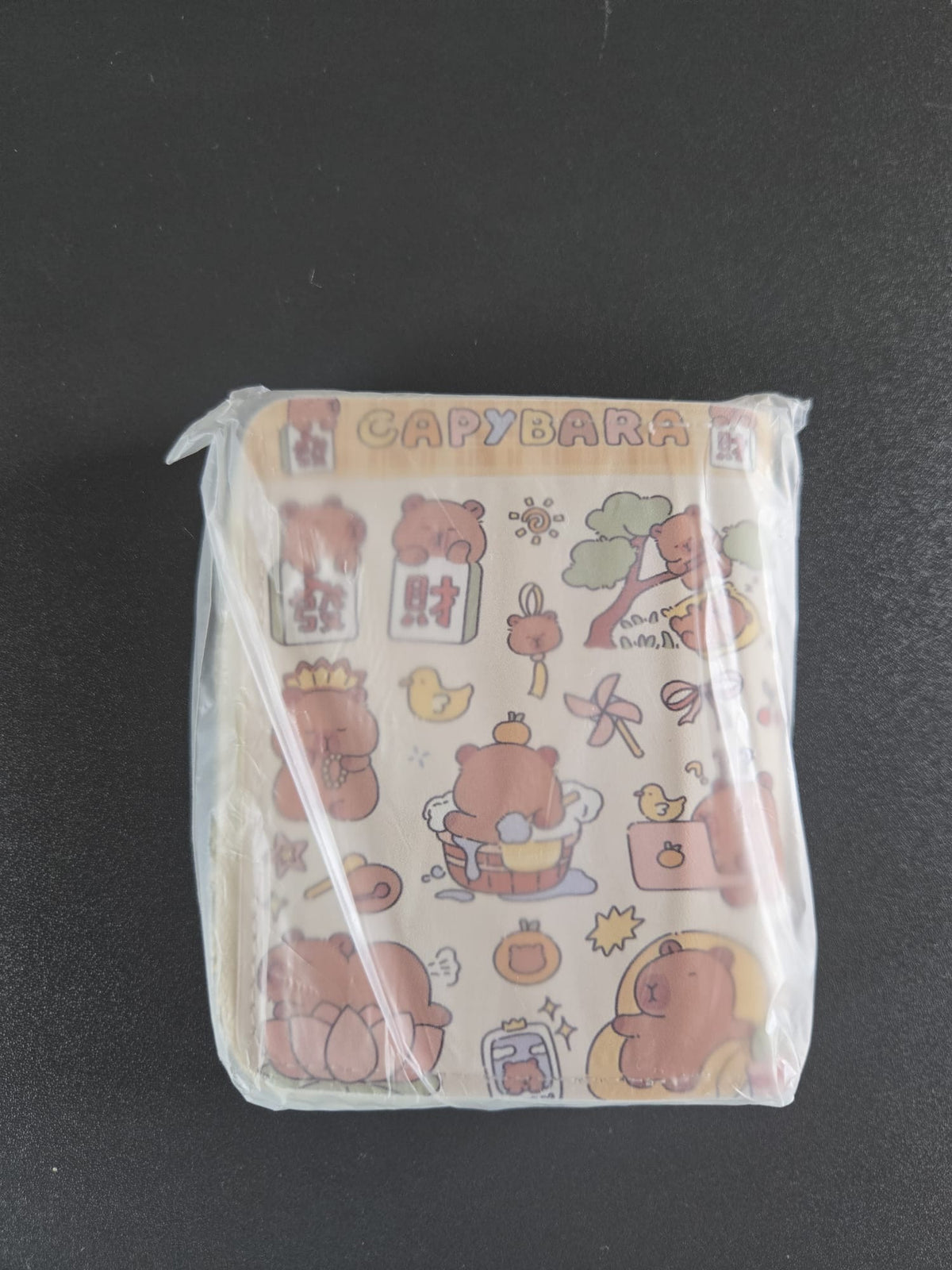 Capybara Wasserschwein Geldbörse