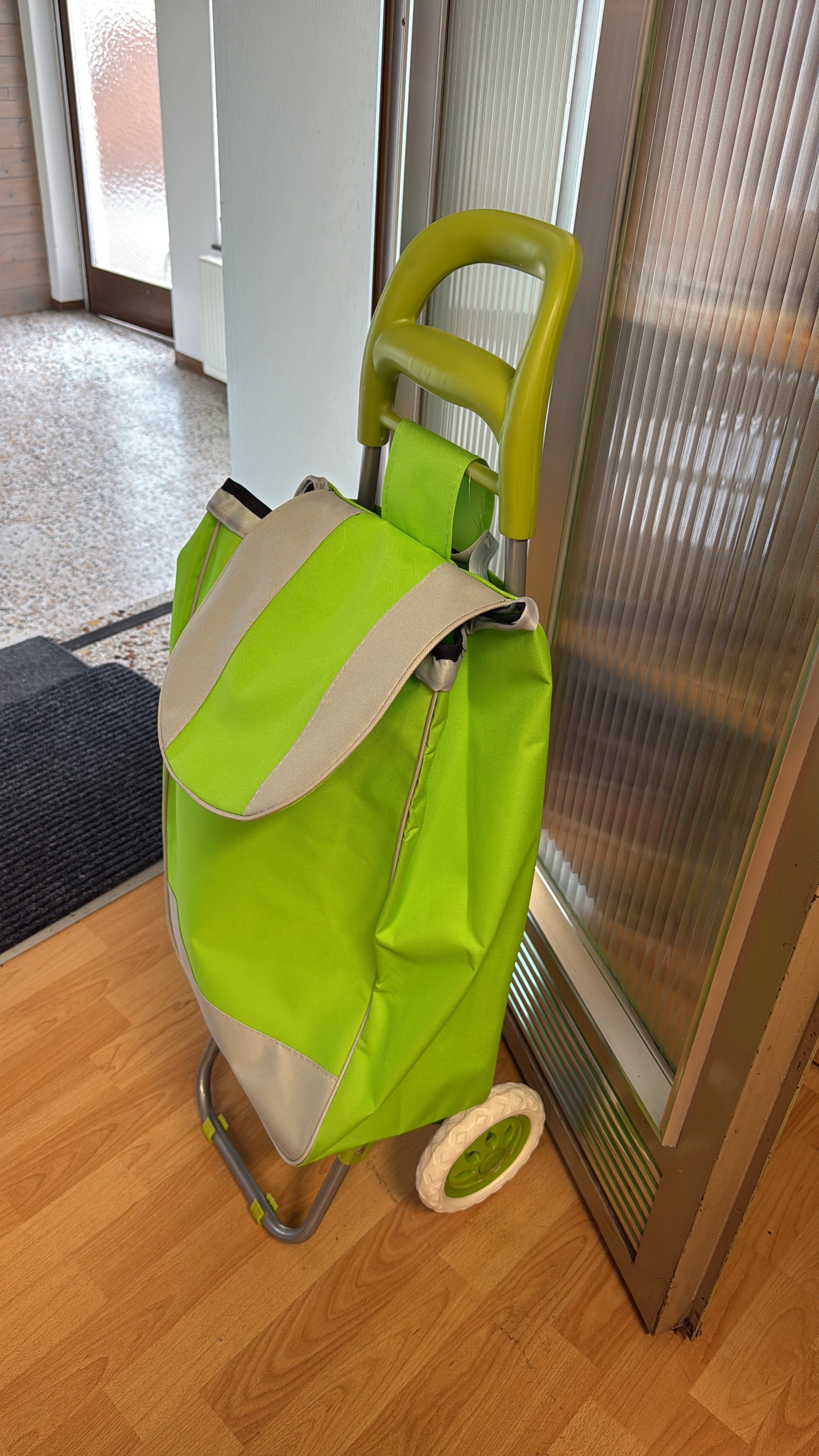 Einkaufstrolley neu
